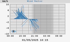 Wind Vector