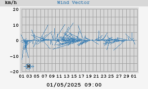 Wind Vector