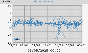 Wind Vector