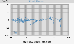 Wind Vector